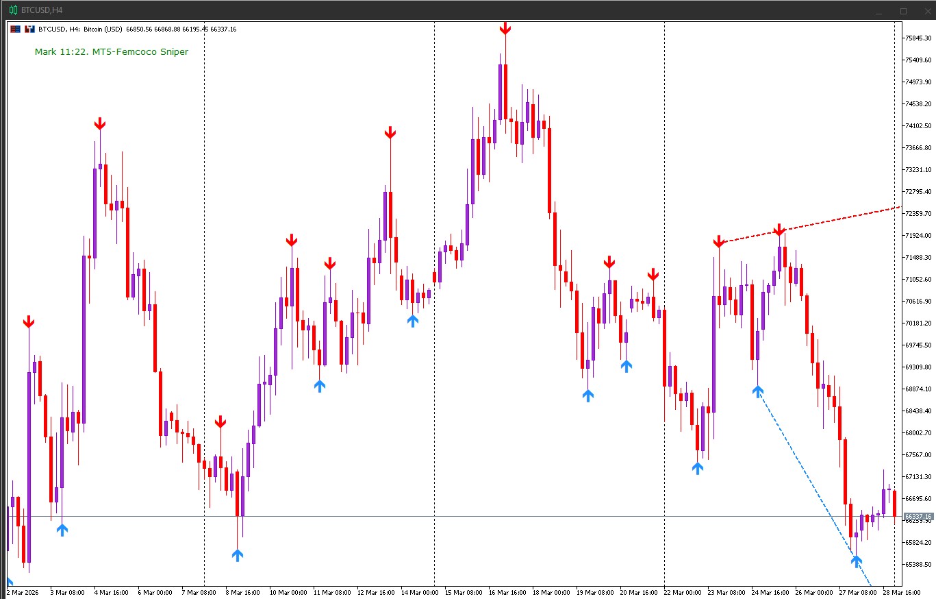 MT5-Trading Indicator- FEMC_SNIP