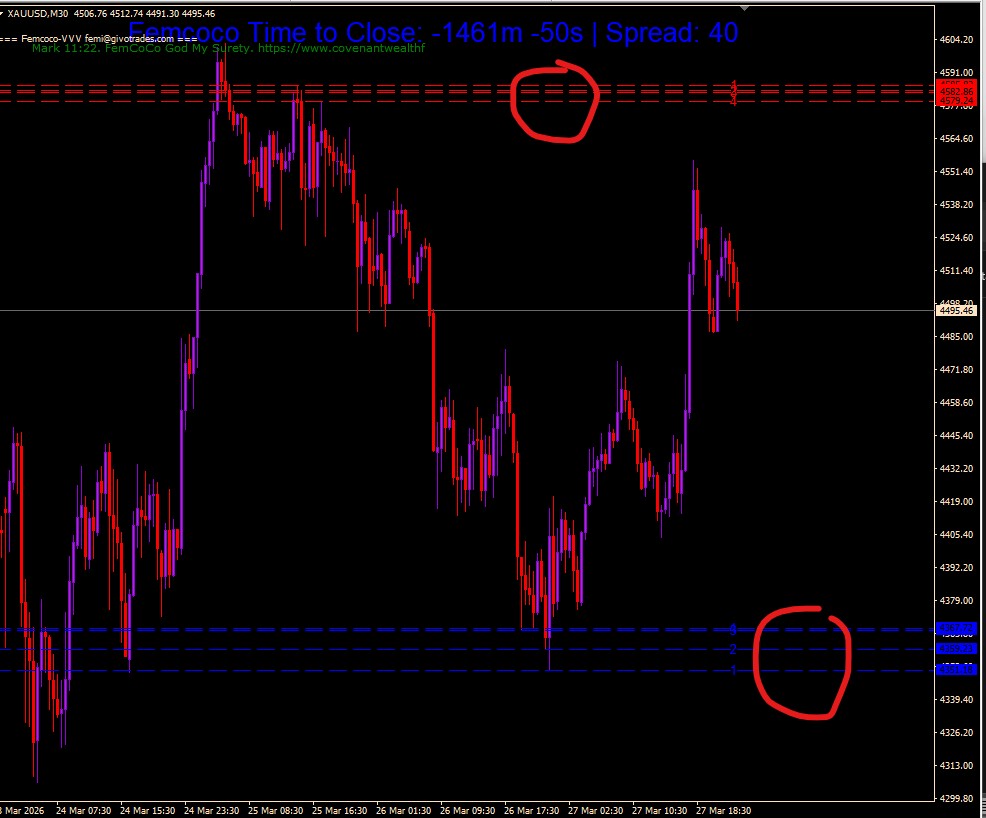 MT4-Trading Indicator- FEMC_GMS
